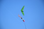 DSC_0380.JPG