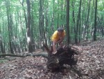 Krivostianka 2017maj20.jpg (164.18 KiB) 5029 zobrazení Prklad pr slovenčinárov: Oči majú strach, ale ruky to urobia.