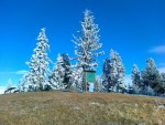 271120111331.jpg
